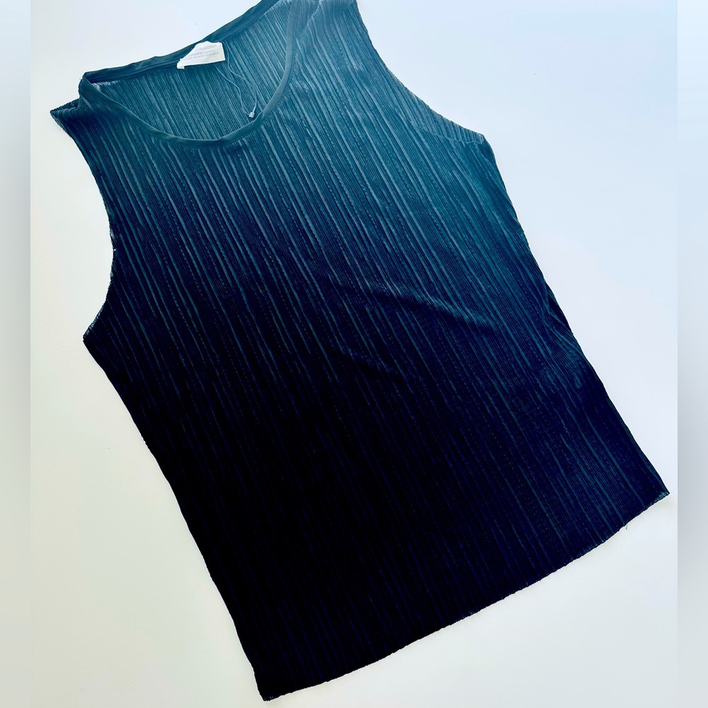 Zara sheer top